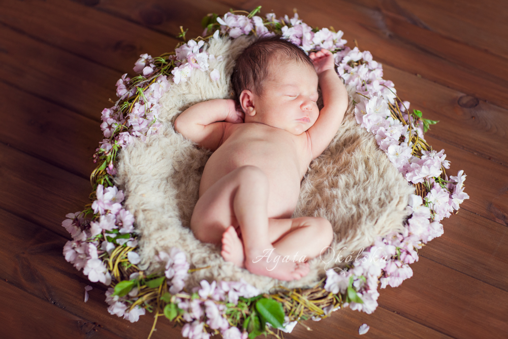 wiosenna fotografia noworodkowa lublin