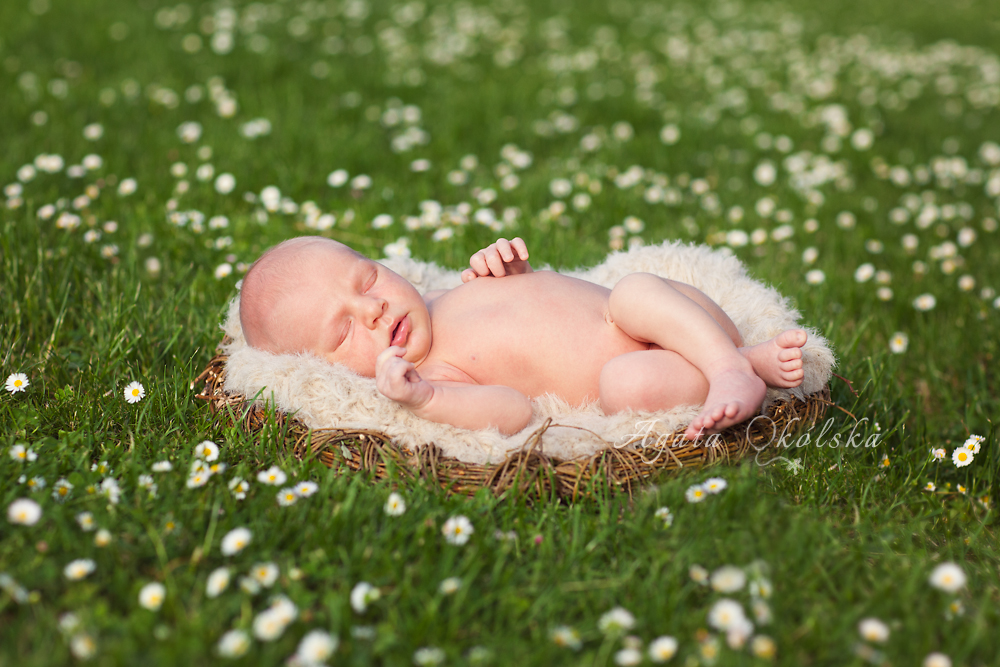 fotografia niemowlęca lublin
